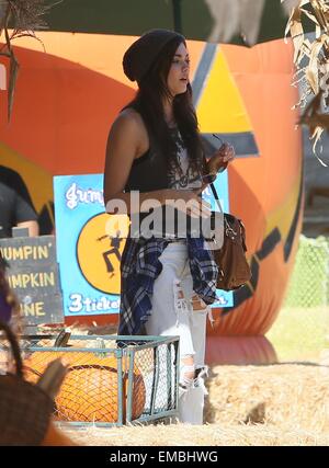 Calvin Harris and Aarika Wolf go to Mr. Bones Pumpkin Patch with friends to pick out Halloween supplies.  Featuring: Aarika Wolf Where: Los Angeles, California, United States When: 16 Oct 2014 Stock Photo