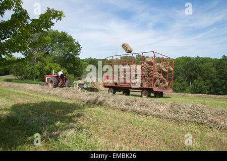 Man on International Harvester Farmall tractor, baling hay in a field with a bale flying in the air, near Galena, Illinois, USA Stock Photo