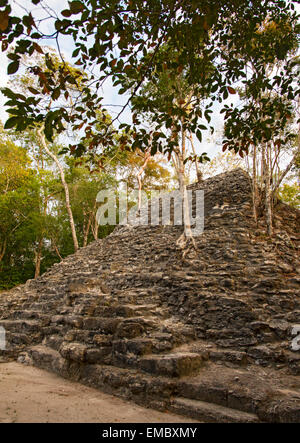 El Tigre Stock Photo - Alamy