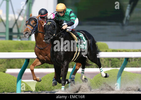 (R-L) Kurino Star O (Hideaki Miyuki), Asia Express (Keita Tosaki), APRIL 18, 2015 - Horse Racing : Kurino Star O ridden by Hideaki Miyuki wins the Antares Stakes at Hanshin Racecourse in Hyogo, Japan. (Photo by Eiichi Yamane/AFLO) Stock Photo