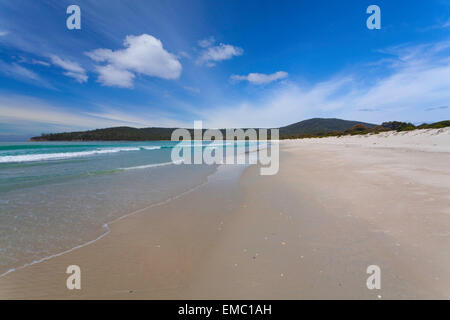 Riedle Bay - Maria Island National Park - Tasmania - Australia Stock Photo