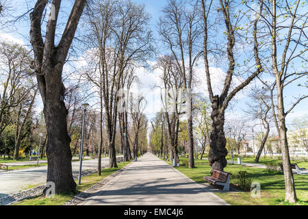 Spring In Central Park Of Cluj Napoca City, Romania. Stock Photo