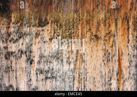 brown aged wooden board background Stock Photo