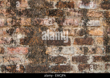Large red brick Arranged as background Stock Photo