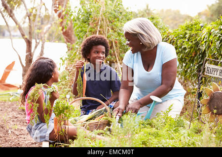 Grandmother And Grandchildren Working On Allotment Stock Photo