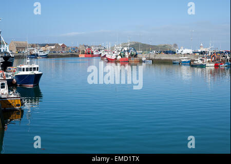Fishing boats docked in the Howth harbor, Dublin,Ireland Stock Photo