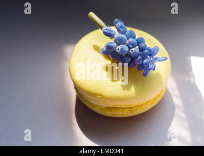 Macaroons Parisian cookie with violet in soft sunlight. Stock Photo