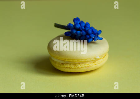 Macaroon traditional Parisian cookie. One violet flower and yellow background. Stock Photo