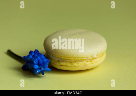 One Macaroon traditional Parisian cookie with violet on yellow background. Stock Photo