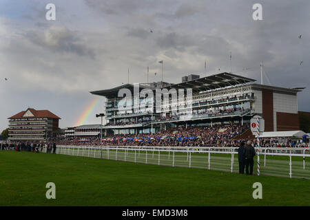 Race day at York Racecourse, North Yorkshire, UK. Picture: Scott Bairstow/Alamy Stock Photo