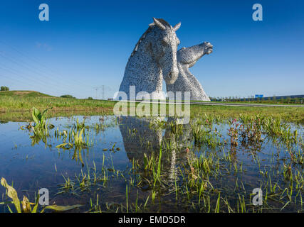 Dramatic daytime shot of the Kelpies horse head statues sculpture in Falkirk, Scotland, UK on a sunny morning with a blue sky, reflected in water. Stock Photo