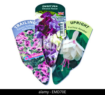 Plant Labels for Annuals and Perennials Stock Photo