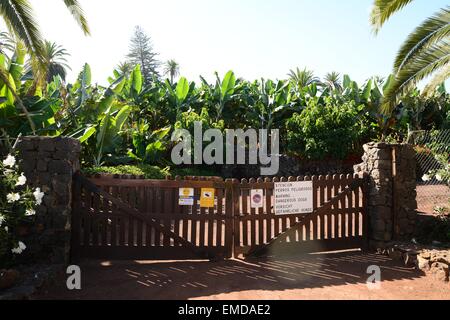 Entrance gate to the banana plantation. Stock Photo