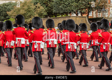 An image of The Regimental Band of the Coldstream Guards marching toward St James's Palace Stock Photo