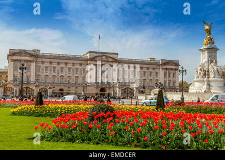 A Landscape view of Buckingham Palace  City of Westminster London England UK Stock Photo
