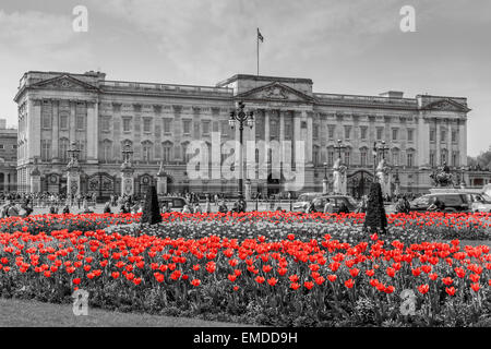 A Landscape view of Buckingham Palace in the Spring time with selective color processing  City of Westminster London UK Stock Photo