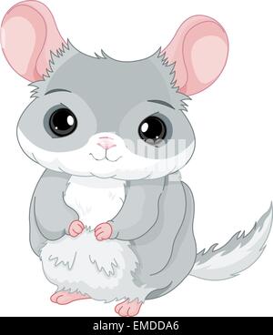 Chinchilla Stock Vector