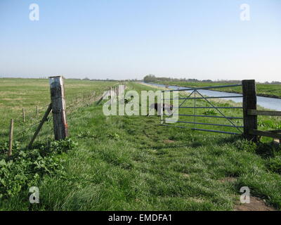 Public footpath along the New Bedford River Stock Photo