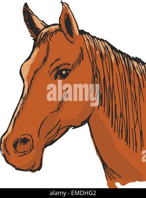 bay horse Stock Vector