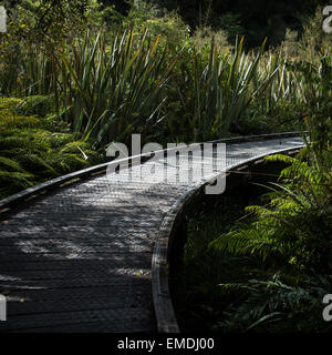 Decking on a hiking trail in New Zealand. Stock Photo