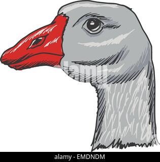 goose Stock Vector