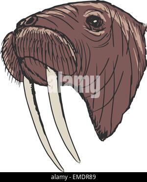 walrus Stock Vector