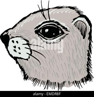 gopher Stock Vector