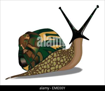 Vector illustration of isolated Shell Stock Vector Image & Art - Alamy