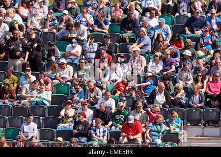 Crowd watching drag racing at the Santa Pod Raceway Stock Photo