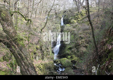 Stock Ghyll Force in Ambleside Stock Photo