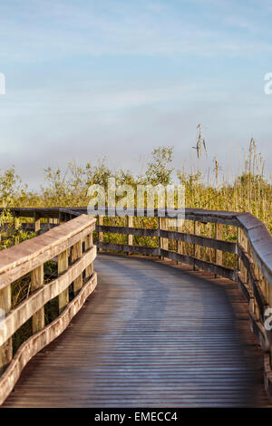 Anhinga Trail boardwalk at the Royal Palm visitor center in the Florida Everglades National Park. Stock Photo