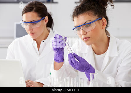 Two Female Technicians Working In Laboratory Stock Photo