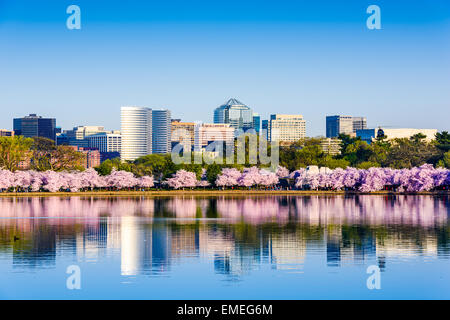 Washington, D.C. at the Tidal Basin during cherry blossom season with the Rosslyn business distict citycape. Stock Photo