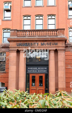 Harvard Museum of Natural History at Harvard University campus in Cambridge, Massachusetts. Stock Photo