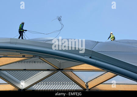 Workmen on roof of Crossrail Place new retail complex built above the Canary Wharf Crossrail train station throws safety rope to colleague East London Stock Photo