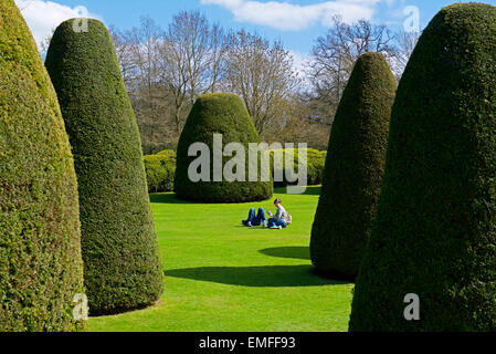 Topiary at Packwood House, a National Trust property in Warwickshire, England UK Stock Photo