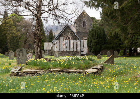 Spring Flowers in the Graveyard of St Patrick's Church in the Village of Patterdale, Lake District Cumbria England UK Stock Photo