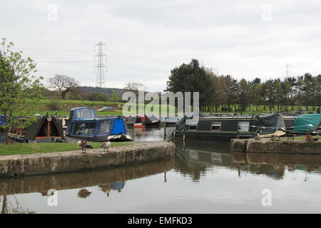 Lyme View Marina, Macclesfield Canal, Adlington, Stockport, Cheshire, England, Great Britain, United Kingdom, UK, Europe Stock Photo