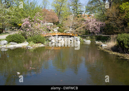 The level of the pond in Setagaya park in Vienna. Stock Photo