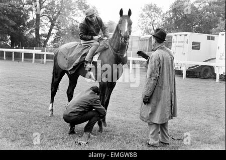 1965 Epsom Derby horse race. Action at the seventh furlong post with ...