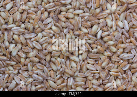 Close-up of pearl barley or pearled spelt Stock Photo