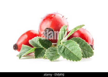 Rose hips isolated on white background Stock Photo