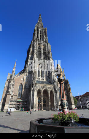 Germany Baden-Württemberg Ulm Cathedral Münster Stock Photo