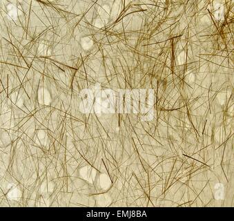 The close view of  hemp fiber paper Stock Photo