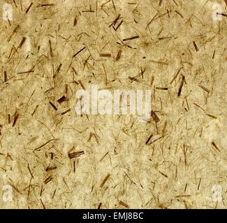 The close view of straw paper Stock Photo