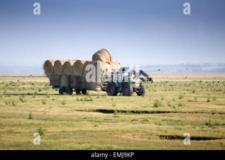 agricultural machinery with straw bales in the field, Normandy, France, Europe Stock Photo