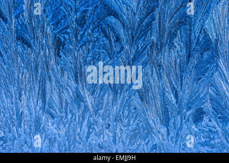 Close view of the ice crystals on a window suffused with a dark blue morning light. Stock Photo
