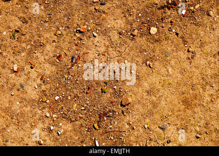 close-up of the ground, with cracks, small stones, fruit peels and dirt Stock Photo