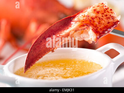 A delicious atlantic lobster claw with melted garlic butter. Stock Photo