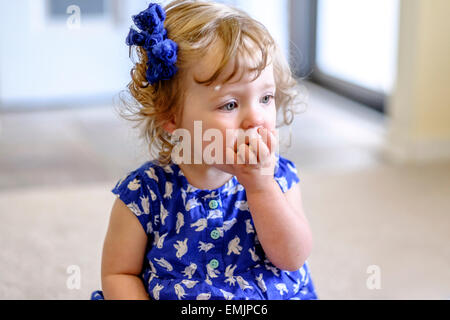 A 14 month old baby girl eats a cracker while sitting on the floor. Stock Photo